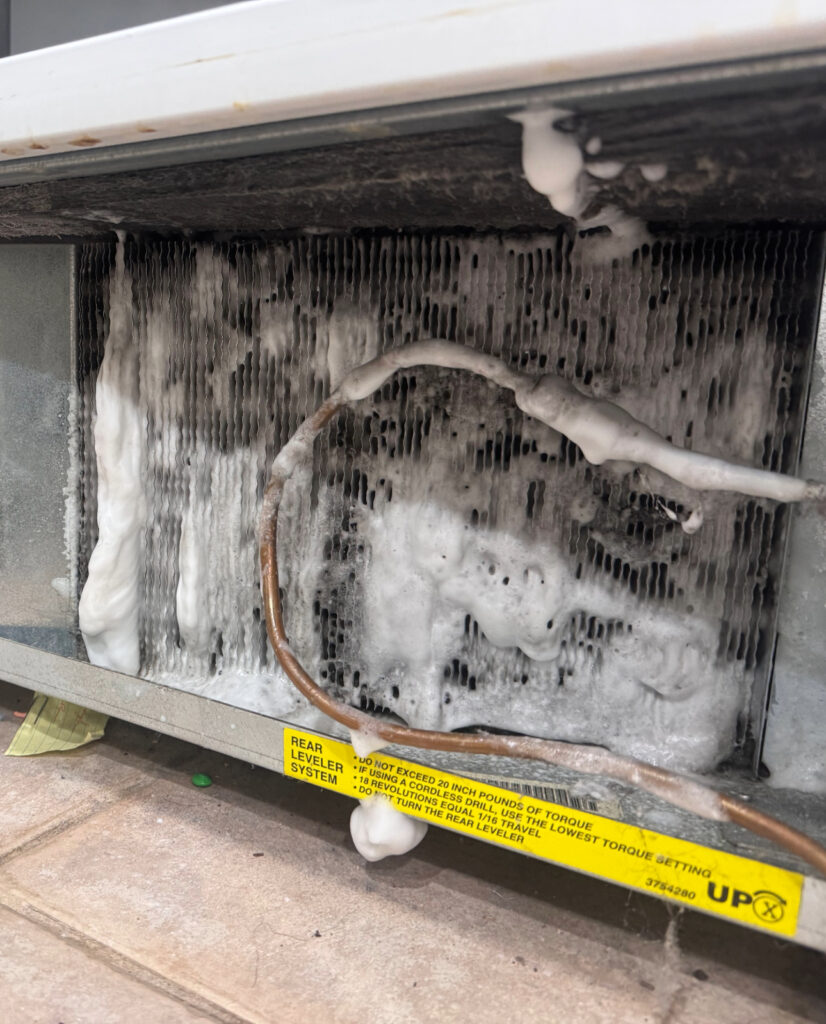 Adobe Express - file (48)