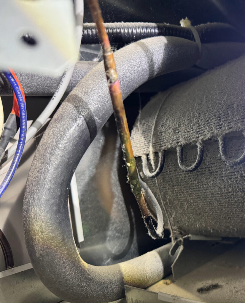 Adobe Express - file (49)