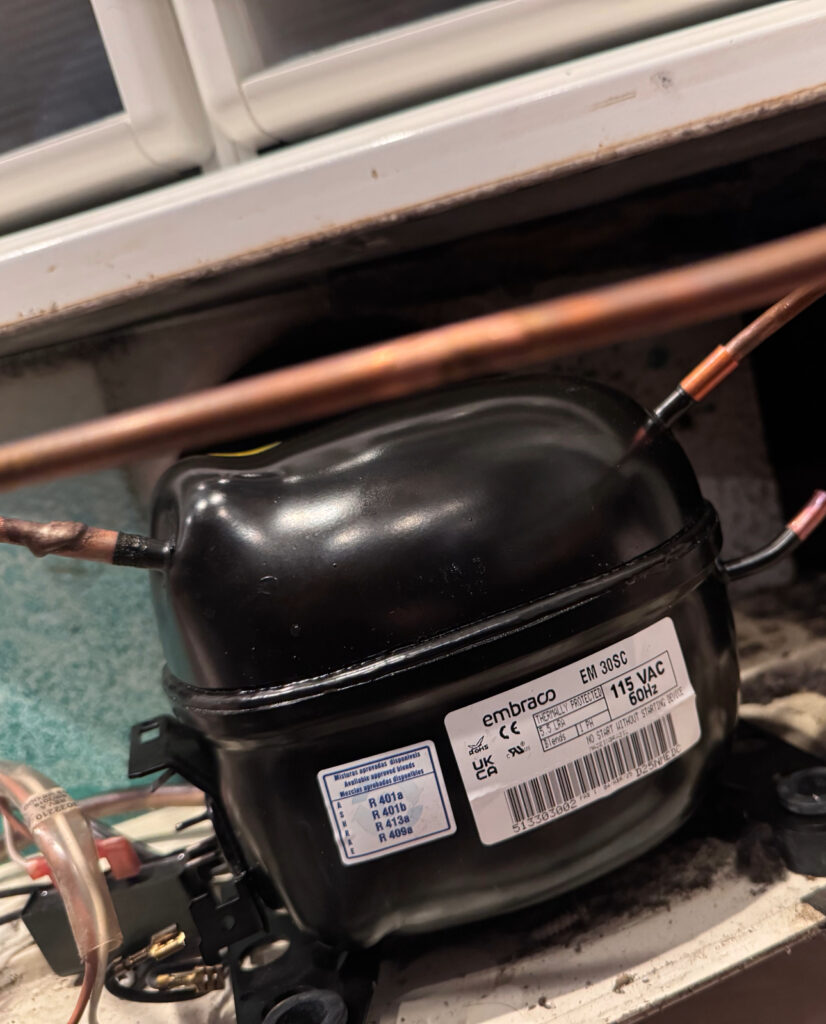 Adobe Express - file (50)